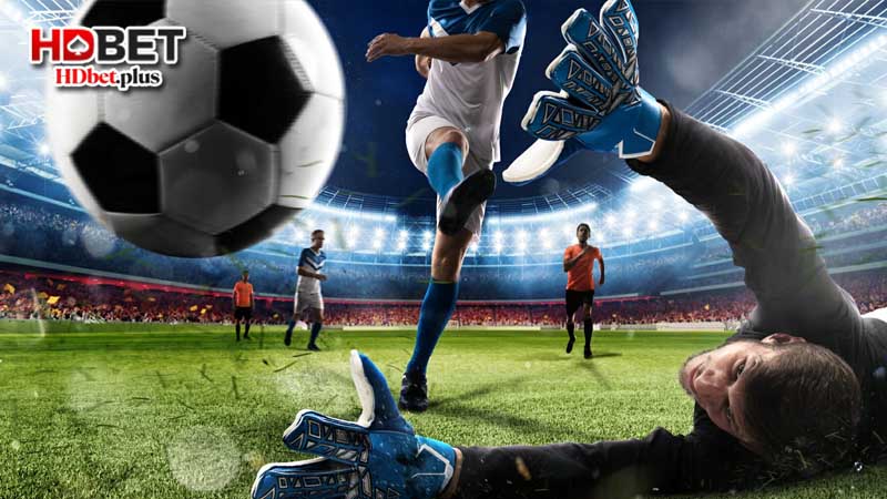 Cách tính tỷ lệ trả thưởng tại HDbet